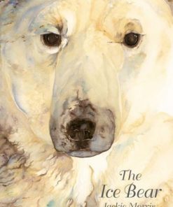 The Ice Bear
