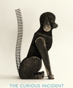 The Curious Incident of the Dog in the Night-Time