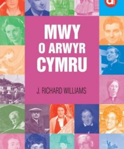 Mwy O Arwyr Cymru