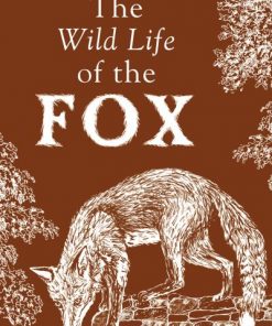 The Wild Life of the Fox
