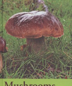 The River Cottage Mushroom Handbook