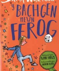 Y Bachgen Mewn Ffrog