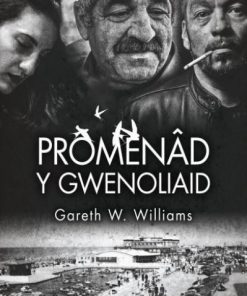 PromenâD Y Gwenoliaid
