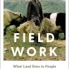 Field Work