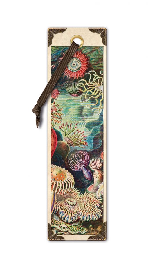 Vintage Bookmark - Anemones