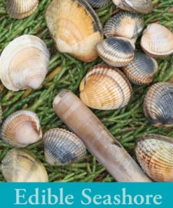 Edible Seashore : No. 5
