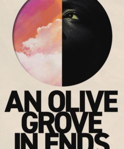 An Olive Grove in Ends : The dazzling debut novel about love, faith and community, by an electrifying new voice