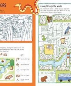 Amazing Activity Book