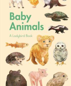 Baby Animals