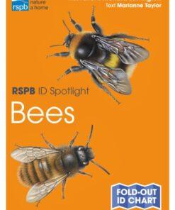 RSPB ID Spotlight - Bees