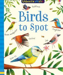 Birds To Spot