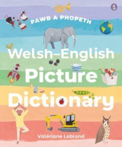 Welsh-English picture dictionary