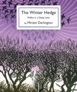 The Winter Hedge : Walks in a Deep Lane