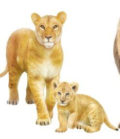 Animal Family Match