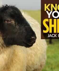 Know Your Sheep