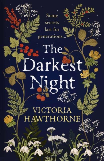 The Darkest Night : a twisty historical mystery to keep you reading through the night