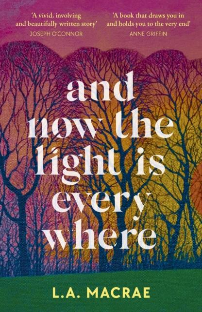 And Now the Light is Everywhere : A stunning debut novel of family secrets and redemption